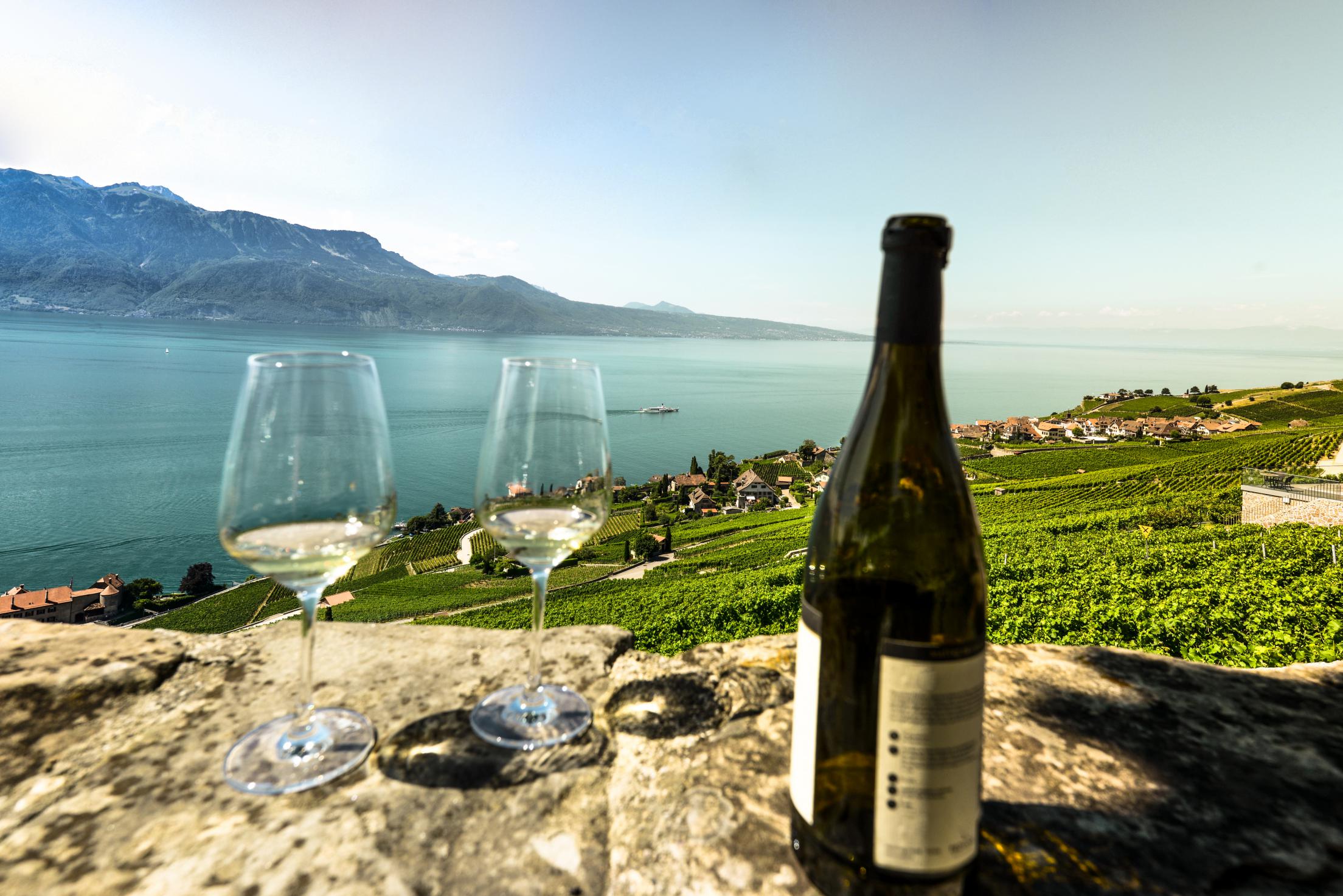 Home Swiss Riviera Wine Tours